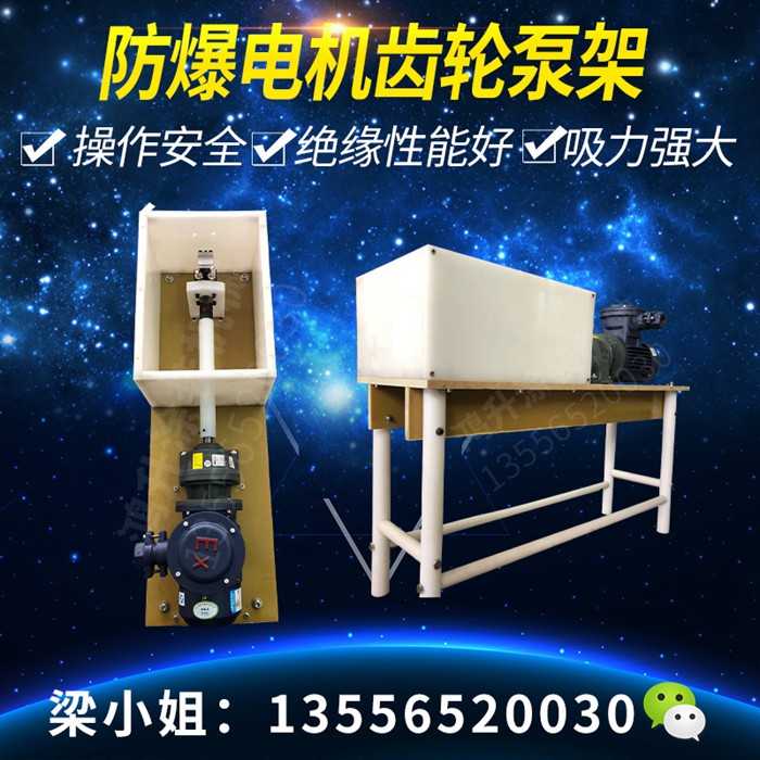 防爆電機(jī)齒輪泵組 (3)